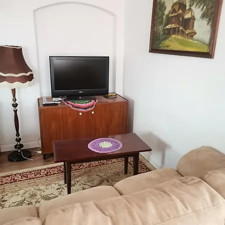 Dla Cyfrowych Nomadow Z Miejscem Pracy Apartment